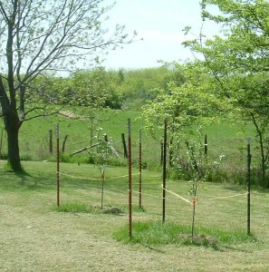 3appletrees06